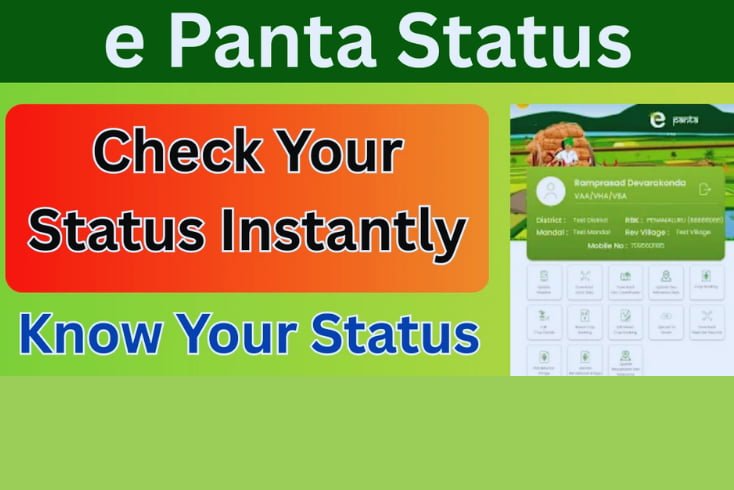 e Panta Status Online 2026